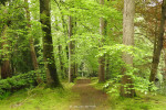 tuinen Kasteel Warmelo